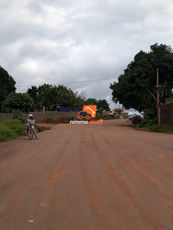 Plusieurs lots titrés bien situé à vendre a Nkozoa ,route bitumée non loin du lycée
