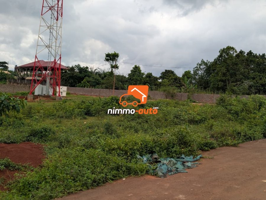 Plusieurs lots titrés bien situé à vendre a Nkozoa ,route bitumée non loin du lycée
