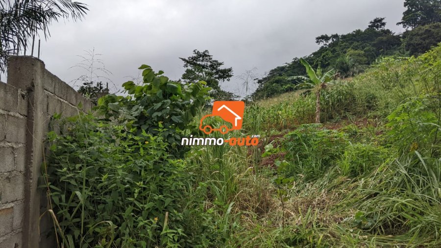 Terrain a vendre a Messassi Nyom