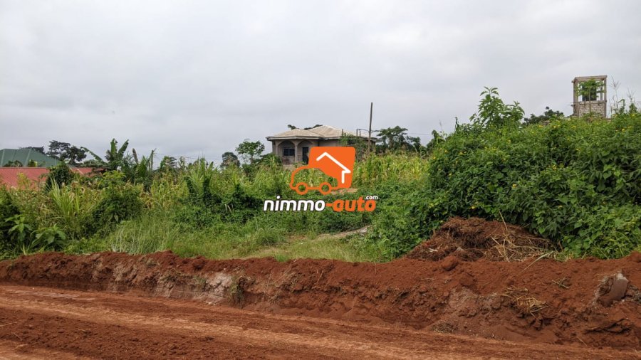 Terrain a vendre a nyom venant du petit marché nyom pour EDIMI NVOMO