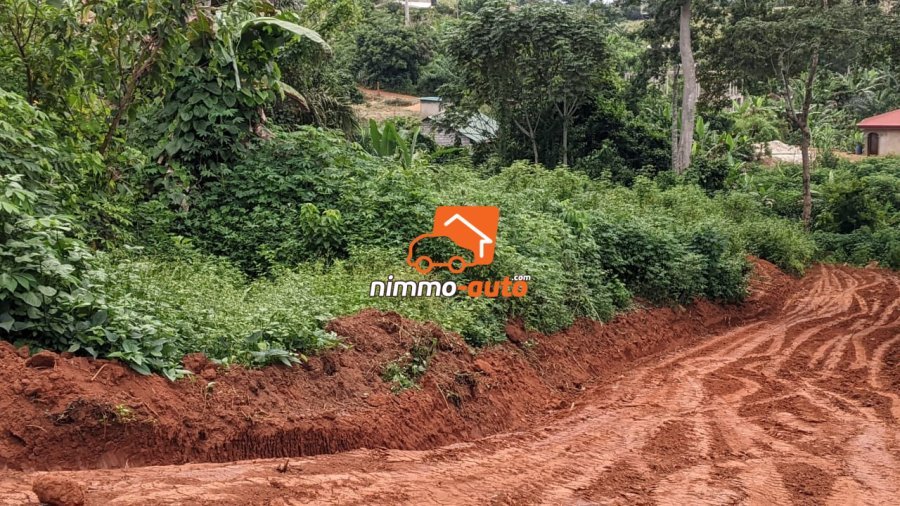 Terrain a vendre a nyom venant du petit marché nyom pour EDIMI NVOMO
