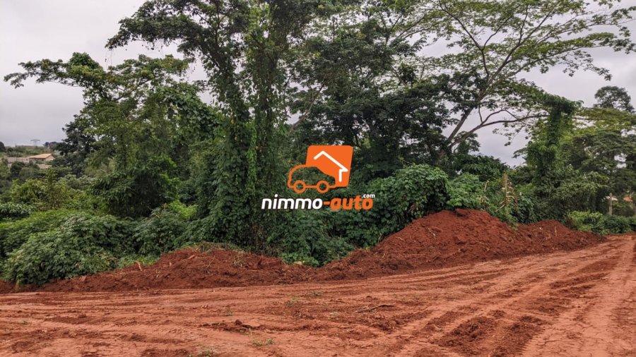 Terrain a vendre a nyom venant du petit marché nyom pour EDIMI NVOMO