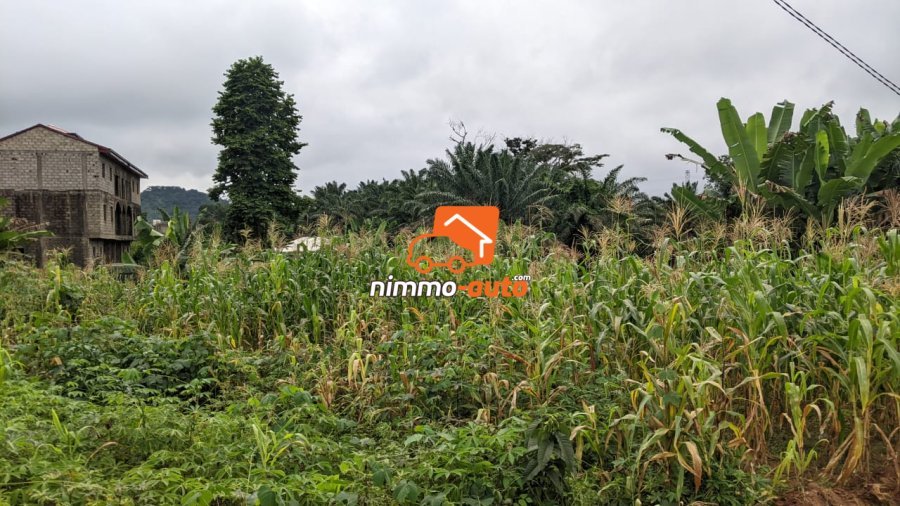 Terrain a vendre du côté de Nyom