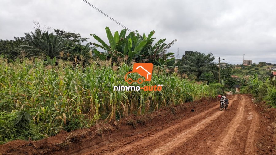Terrain a vendre du côté de Nyom