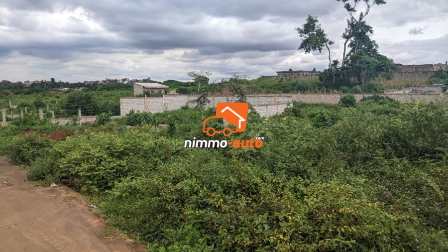 Terrain à vendre a Nkozoa plus précisément a entré lycée  1800 m2