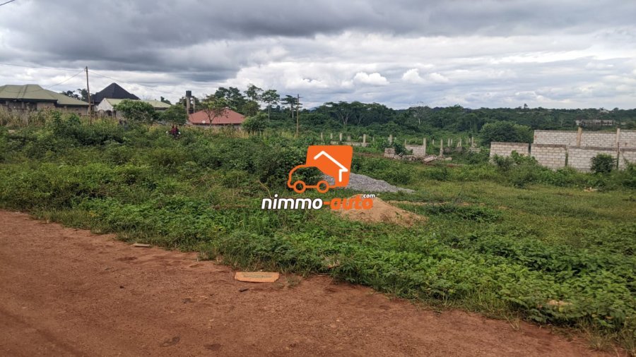 Terrain à vendre a Nkozoa plus précisément a entré lycée  1800 m2