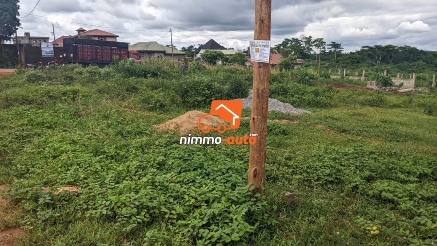 Terrain à vendre a Nkozoa plus précisément a entré lycée  1800 m2