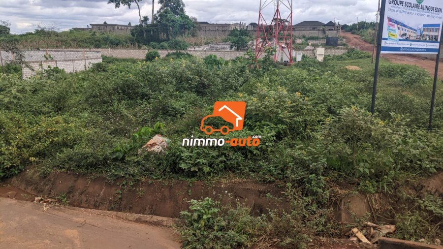 Terrain à vendre a Nkozoa plus précisément a entré lycée  1800 m2