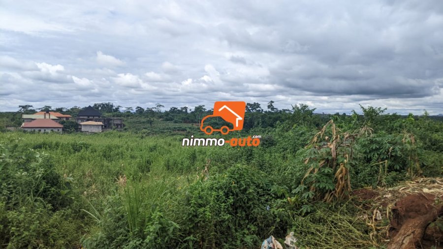 Terrain à vendre a Nkozoa plus précisément a entré lycée  4000 M2