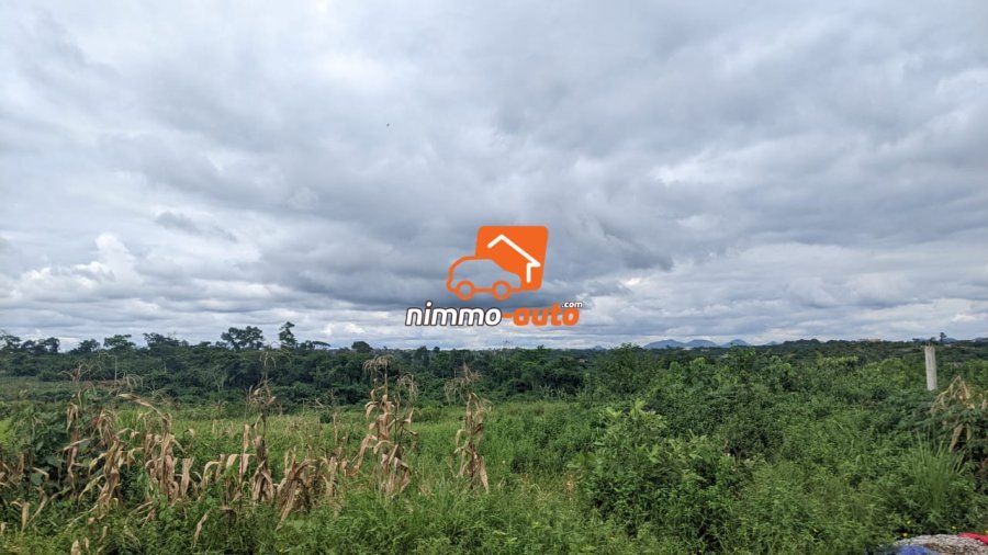 Terrain à vendre a Nkozoa plus précisément a entré lycée  4000 M2