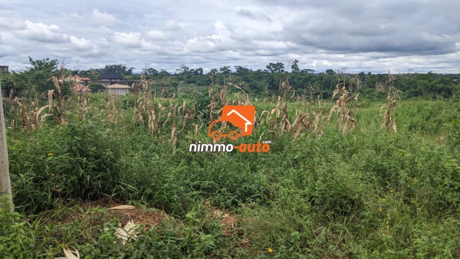 Terrain à vendre a Nkozoa plus précisément a entré lycée  4000 M2
