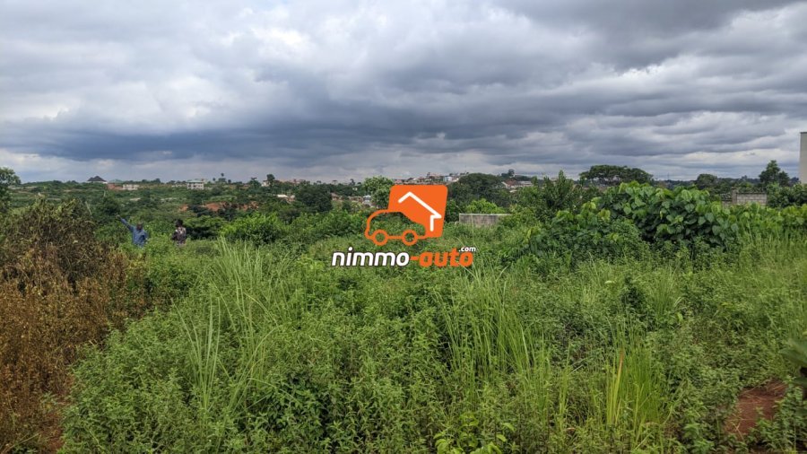 Terrain à vendre a Nkozoa plus précisément a entré lycée  1000 M2