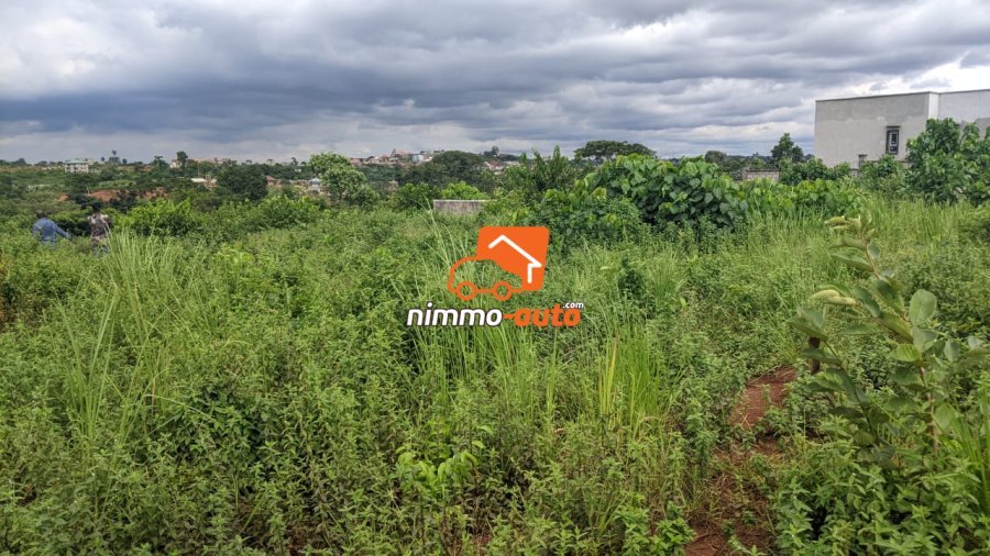 Terrain à vendre a Nkozoa plus précisément a entré lycée  1000 M2