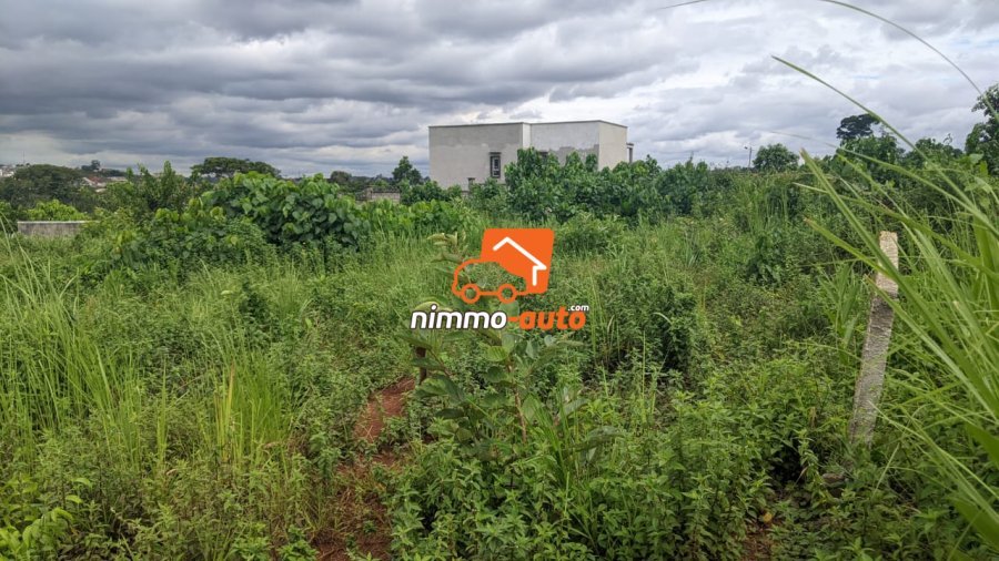 Terrain à vendre a Nkozoa plus précisément a entré lycée  1000 M2