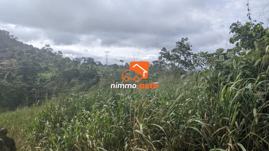 Terrain à vendre a Nkolondom plus précisément derrière le lycée