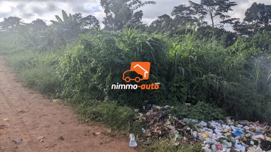 Terrain Titré à vendre a Yaoundé - Nyom passant par le dispensaire Messassi
