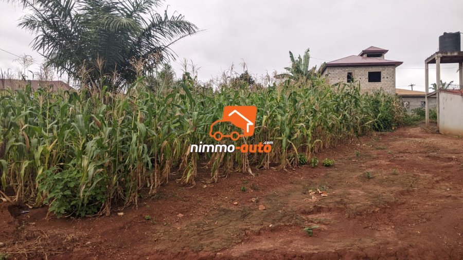 Terrain a vendre a meyo  500 M2