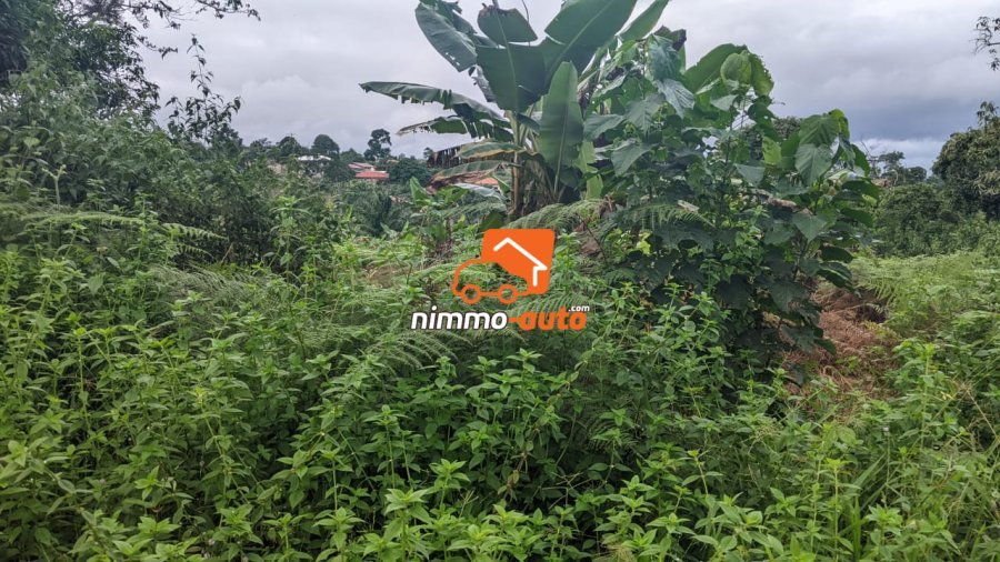 Terrain a vendre a Afanayo 2000 M2