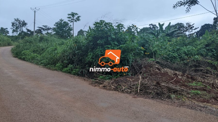 Terrain a vendre a Afanoya 9 hectares