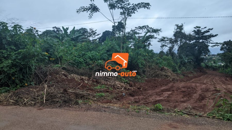 Terrain a vendre a Afanoya 9 hectares
