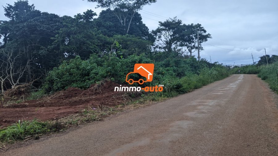 Terrain a vendre a Afanoya 9 hectares