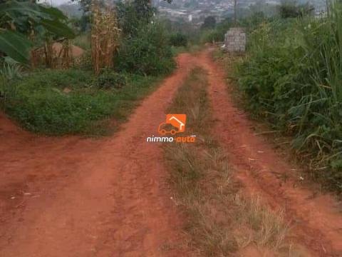 TERRAIN A VENDRE A NKOABANG