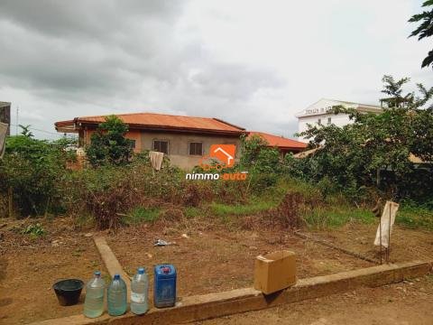 terrain d'habitation a vendre à nkolmesseng