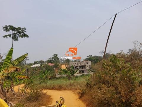 Terrain titré a vendre a Ebang  avant razel