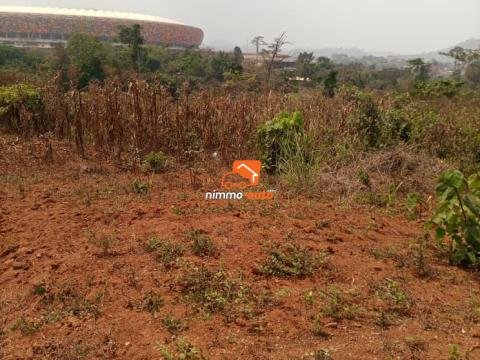 Terrain à vendre a olembe avec vue sur le stade