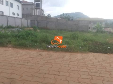Terrain commercial à vendre à Olembe