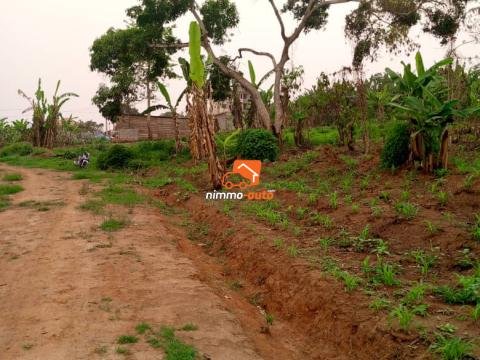 Terrain à vendre à Odza derrière fecafoot