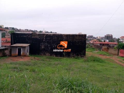 Terrain titré à vendre à omnisports