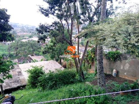 Terrain titré à vendre à omnisports