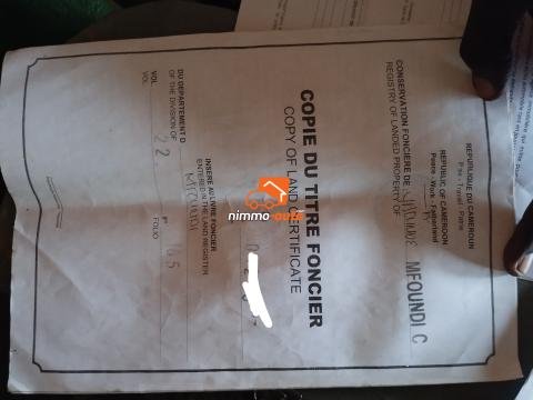 Terrain à vendre à mekoumbou par afan oyoa et cimencam
