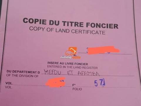 Terrain plat à vendre à Odza Mehandan - Mindick