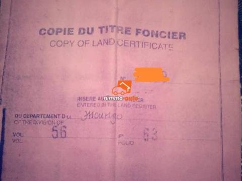 Terrain titré à vendre à BOMONO à Nkonsamba