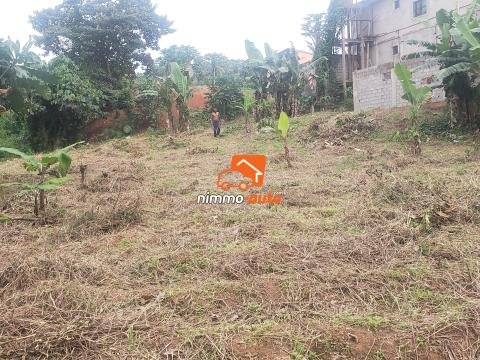 Terrain a vendre a Etoudi abatoire (nkolbong)