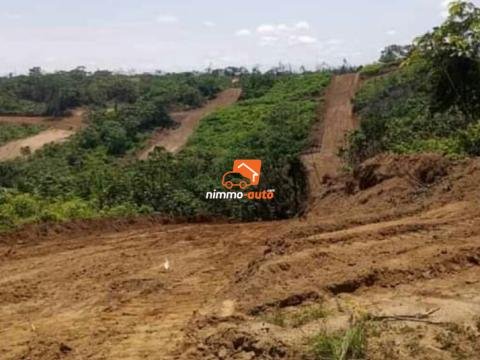Terrain à vendre a lundi ngombe