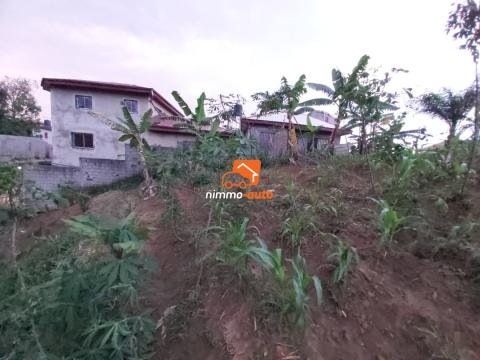 Terrain de 580m² à vendre Chaud Chaud à Maison Damas