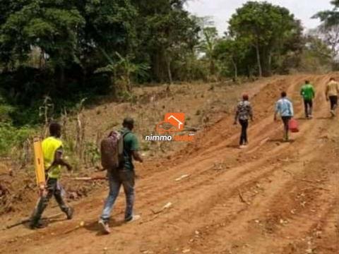 Terrain à vendre a Nkolbisson au lieu dit OZOM3 (côté de l'université catholique)