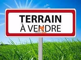 Terrain à vendre à Olembe