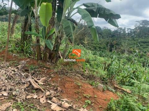 terrain titré à MBANKOMO