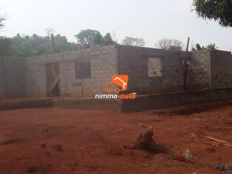 Terrain titré moins cher à vendre à Yaoundé Yegue-Assi