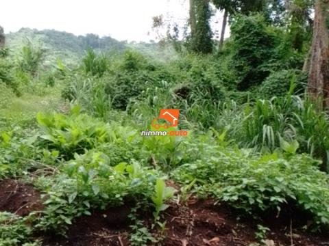 Terrain à vendre à Nyom catanga