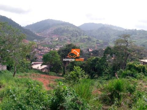 Terrain Titré à vendre à Febe village