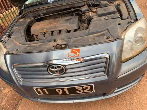 Avensis tête de cochon