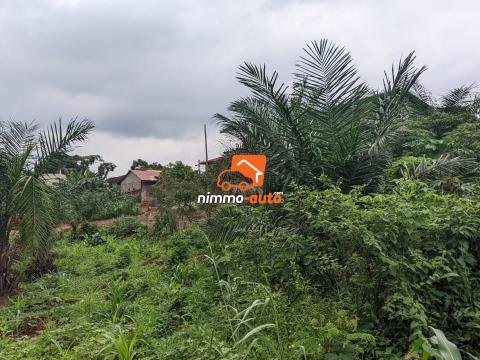 TERRAIN A VENDRE A NKOABANG