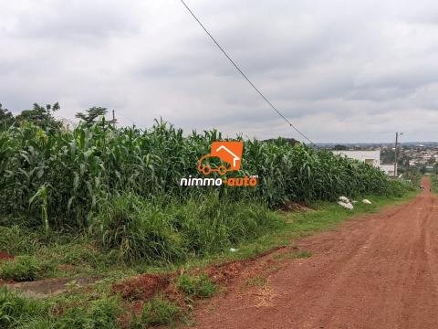 TERRAIN A VENDRE A NKOABANG