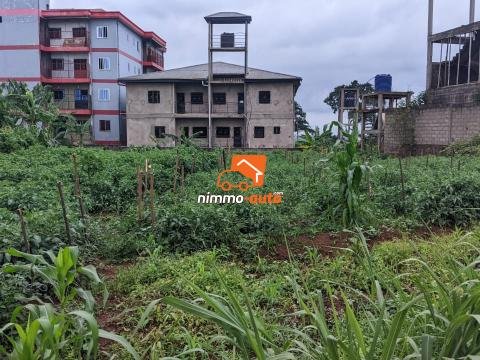 TERRAIN A VENDRE A NKOABANG
