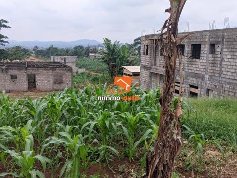 TERRAIN A VENDRE A NKOABANG